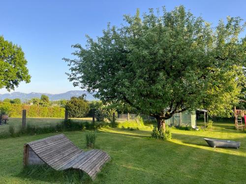 a bench sitting in the grass next to a tree at Idyllische Wohnung mit Bergblick nah am Simssee in Stephanskirchen