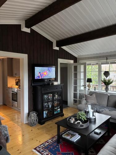 Sälen Gruvens fäbod في سالن: غرفة معيشة مع أريكة وتلفزيون