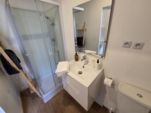 Vannituba majutusasutuses Le Simba - grand studio avec Wi-Fi