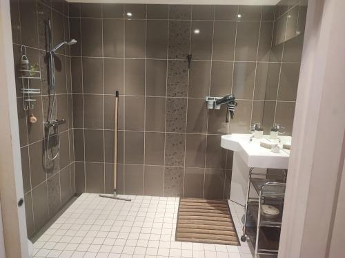 a bathroom with a shower and a sink at Au P'tit Venton - Maison Écologique in La Jaille-Yvon