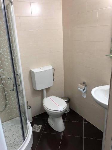 a bathroom with a toilet and a sink at Popasul de Sub Munte in Văleni
