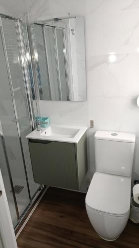 a bathroom with a toilet and a sink and a shower at La mesa del cocinero in Lugo