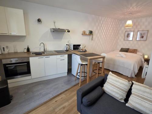 Le Timon - large studio avec Wi-Fi
