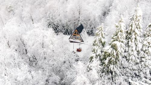 an aerial view of a cabin in the middle of a snow covered forest at Cozy A-Frame Retreat Near Ljubljana With Hot Tub in Cerklje na Gorenjskem