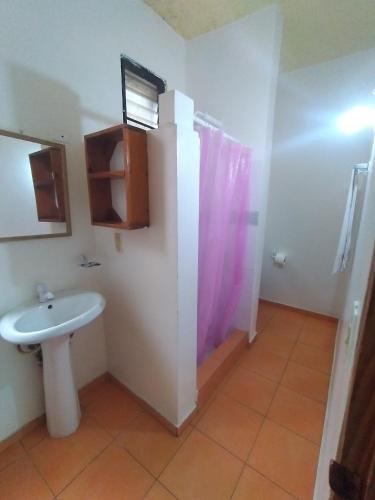 a bathroom with a sink and a shower at Apartamentos grigri in Río San Juan