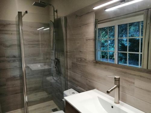 a bathroom with a shower and a sink and a mirror at Moulin les Forges gîte 12 places avec piscine chauffée en Périgord in Gavaudun