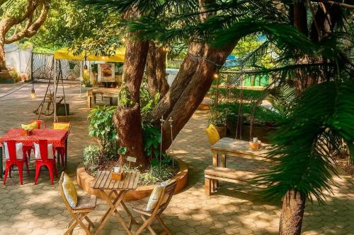 NerulにあるCasa Do Leão A 150 year Old Portuguese Homeのテーブルと椅子、テーブルと木