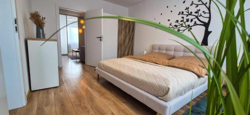 Galería fotográfica de Enjoy Liptov en Liptovský Mikuláš