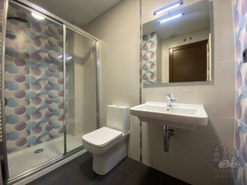 ein Badezimmer mit Toilette, Waschbecken und Dusche in der Unterkunft EL DESCANSO DE PINARES - VuT en Huerta de Rey in Huerta del Rey