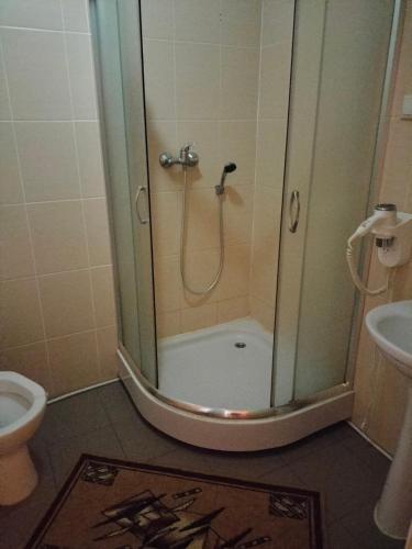 a shower with a glass door in a bathroom at Zelena Dacha in Dragobrat
