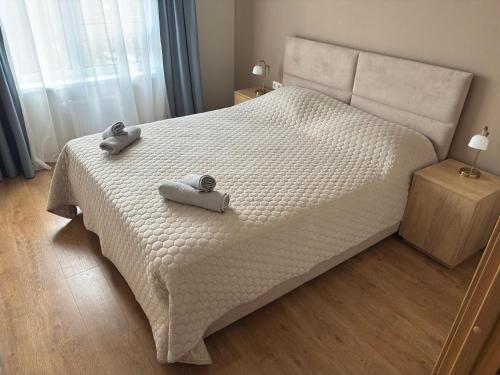 Postel nebo postele na pokoji v ubytování Daugavas Rezidence