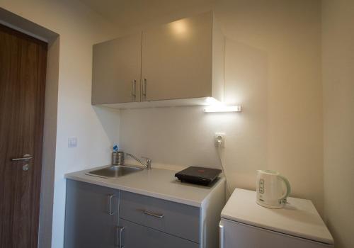 Kuchyň nebo kuchyňský kout v ubytování Apartments Horní Brána