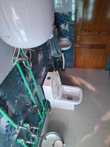 Koupelna v ubytování Shashni Homestay, Phugtal