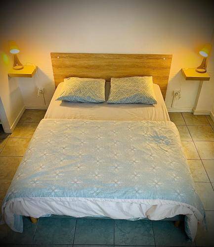 ein Bett mit zwei Kissen darauf in einem Schlafzimmer in der Unterkunft 15G Bron centre hôpital Desgenette Vinatier in Bron