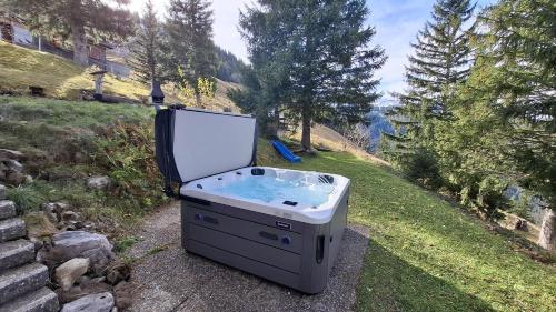 a refrigerator and a hot tub sitting in the grass at Mountain Apartment - Hot Tub & Sunset Views in Axalp