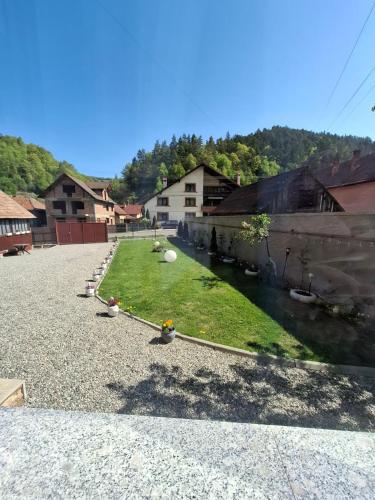 Un patio con césped y un río con casas. en CASA RAUL, en Poiana Mărului