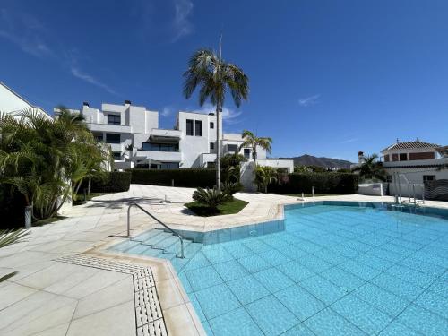 Royal Palm 10