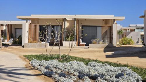 Modern Minimalist Beach & Pool Side Somabay Cabana