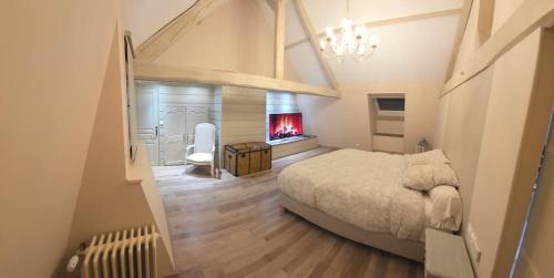 une chambre avec un lit et une cheminée dans l'établissement Villa pour 24h auto le mans, à Teloché