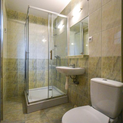 a bathroom with a shower and a toilet and a sink at Zajazd Pasja in Sławków