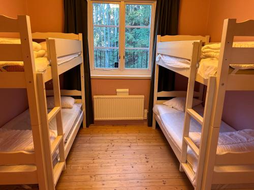 zwei Etagenbetten in einem Zimmer mit Fenster in der Unterkunft Bredsands camping och bad Vandrarhem in Enköping