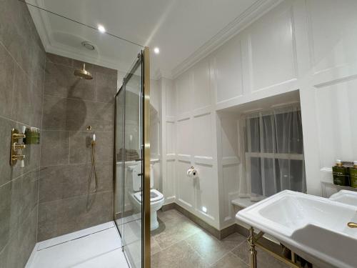 ein Badezimmer mit Dusche, Toilette und Waschbecken in der Unterkunft Cashel Regency Townhouse in Cashel
