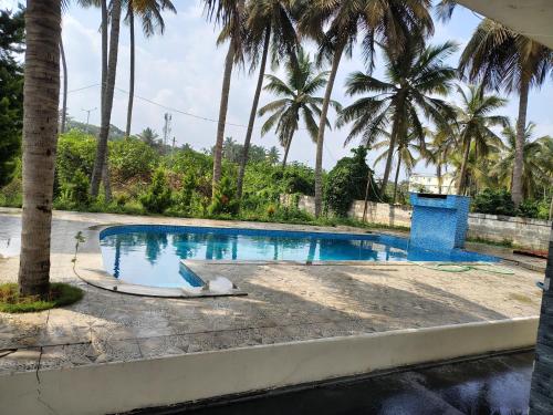 迈索尔Blue Moon Homestay的背景为棕榈树的游泳池