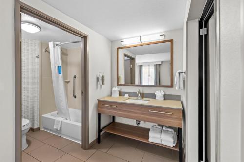 a bathroom with a sink and a shower and a toilet at Hampton Inn Texarkana in Texarkana