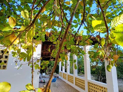 Κήπος έξω από το Sítio Bela Vista