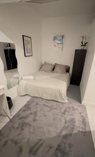 ein kleines Schlafzimmer mit einem Bett und einem Teppich in der Unterkunft Private Guest Room and Bath Steps from Notre Dame in Paris