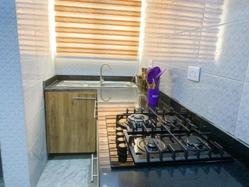 eine Küche mit Herd oberer Ofen neben einer Spüle in der Unterkunft Oystershell Apartments in Gbogije