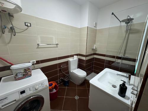 TiraneSteisi Luxe Apartment Tirane的配有洗衣机和水槽的浴室