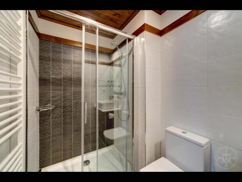 a bathroom with a glass shower and a toilet at Carreretes de Alma de Nieve in Barruera