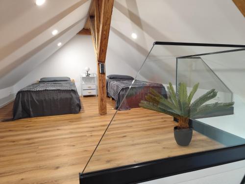 une chambre avec deux lits et une plante en pot dans l'établissement FeWo Relaxfit, à Bad Buchau