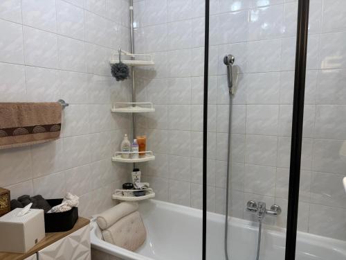 a bathroom with a shower and a bath tub at Léman Chic in Geneva