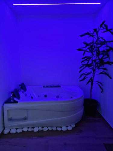 Gallery image of Jacuzzi Katowice chill room in Katowice
