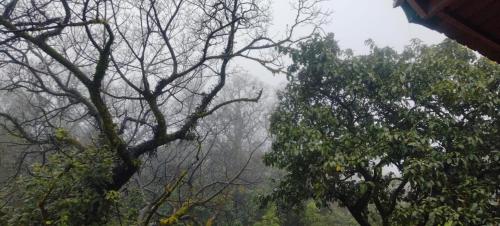 Φυσικό τοπίο κοντά σε αυτή η βίλα