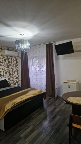 TV a/nebo společenská místnost v ubytování Apartament Vintage