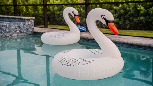 Άλλα ζώα σε αυτή η παραθεριστική κατοικία ή στη γύρω περιοχή