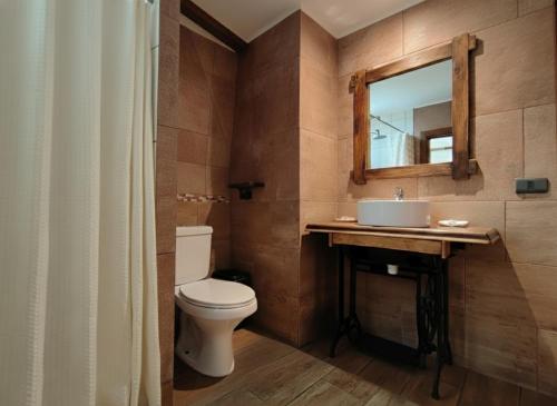 a bathroom with a toilet and a sink and a mirror at Parcela "La Negra", Hermoso para familias y amigos in Bulnes