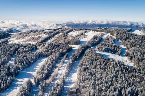 Příroda nedaleko prázdninového domu