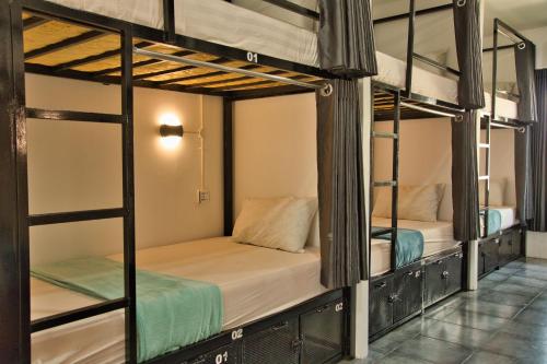 Voodi või voodid majutusasutuse Mad Monkey Kampot toas