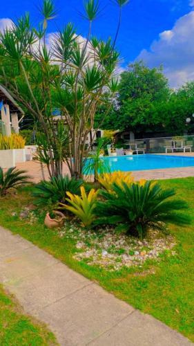 un giardino con piante e una piscina di Sítio Carmo a Ibirité