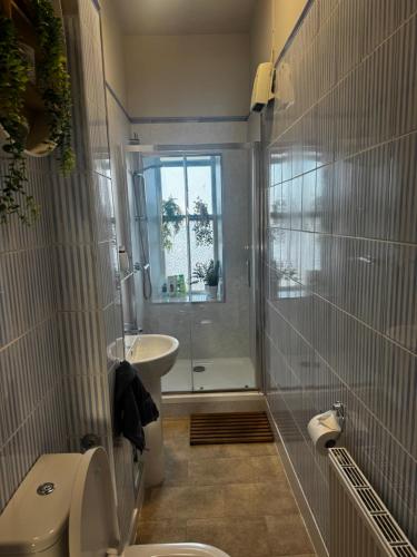 a bathroom with a toilet and a sink and a shower at Beautiful traditional top floor flat in the center of Largs in Largs