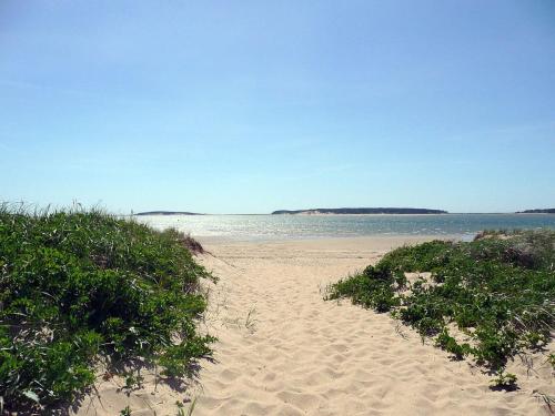 a sandy beach with grass and the ocean at Tranquil Cozy Cottage Recently Renovated in Wellfleet