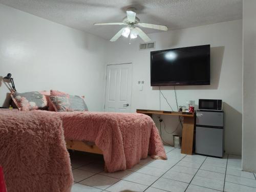 ein Schlafzimmer mit einem Bett und einem Flachbildfernseher in der Unterkunft la casa de la tia Lucita in Ciudad Juárez