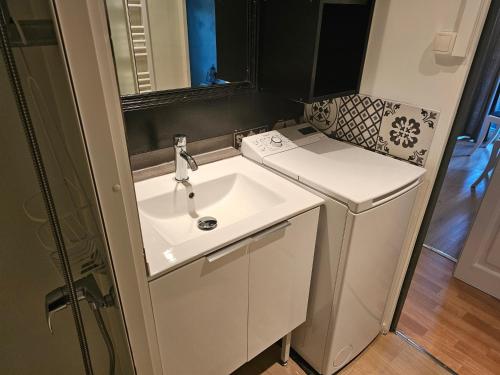 ein Badezimmer mit Waschbecken und Waschmaschine in der Unterkunft Chalet Bien-Etre du Domaine in La Hume