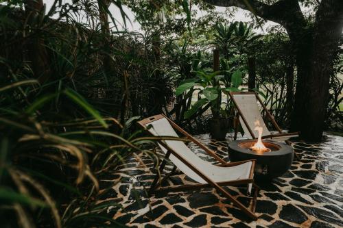 Příroda nedaleko kempu