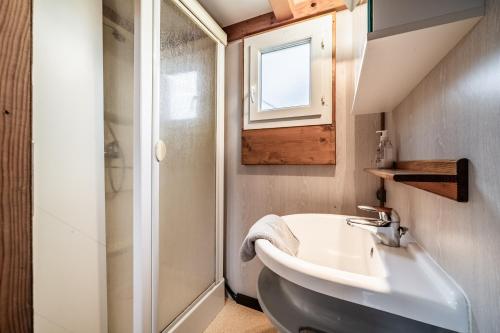 Koupelna v ubytování Petit chalet proche Lac Léman