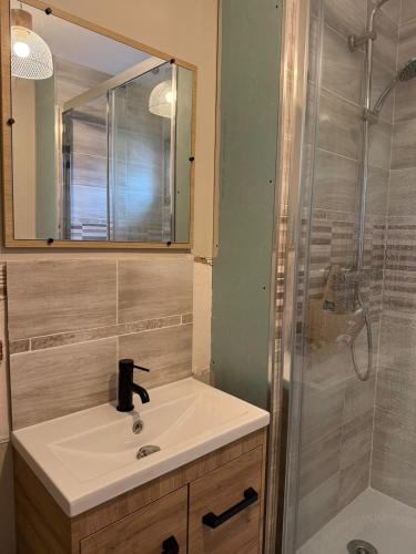 a bathroom with a sink and a shower at Studio Cosy 32 m2 hyper centre Châlons-en-Champagne in Chalons en Champagne
